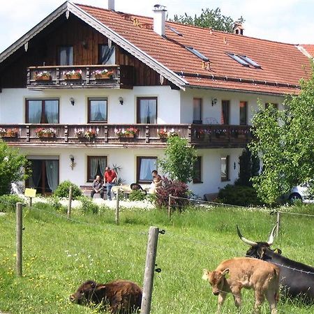 Appartement Beim Rieder à Truchtlaching Extérieur photo